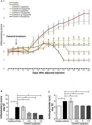 Celastrol Efficacy by Oral Administration in the Adjuvant-Induced Arthritis Model